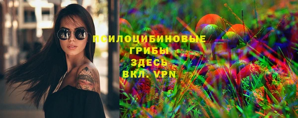МДМА Алексеевка