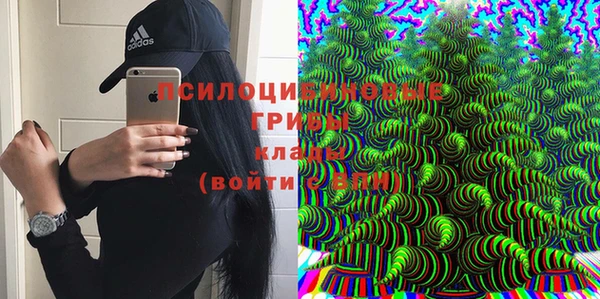 прущие крисы Алзамай