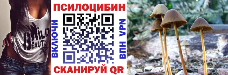 kraken маркетплейс  Ливны  Галлюциногенные грибы прущие грибы  купить наркотики сайты 